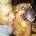 Aimee Melich Law, P.A.