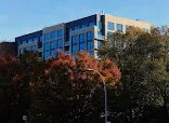 NY DEBT LAW